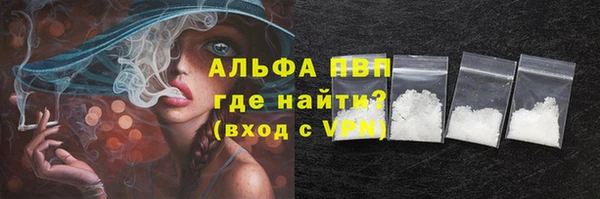 индика Верея