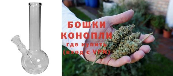 ПСИЛОЦИБИНОВЫЕ ГРИБЫ Козельск