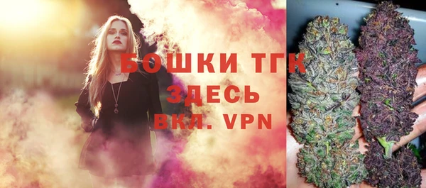 дурь Верхний Тагил