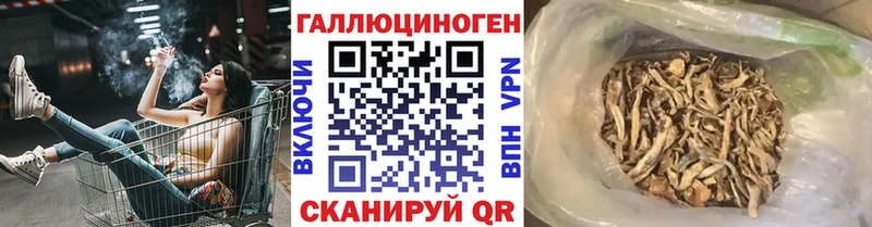 Псилоцибиновые грибы Psilocybine cubensis  omg маркетплейс  Ипатово 